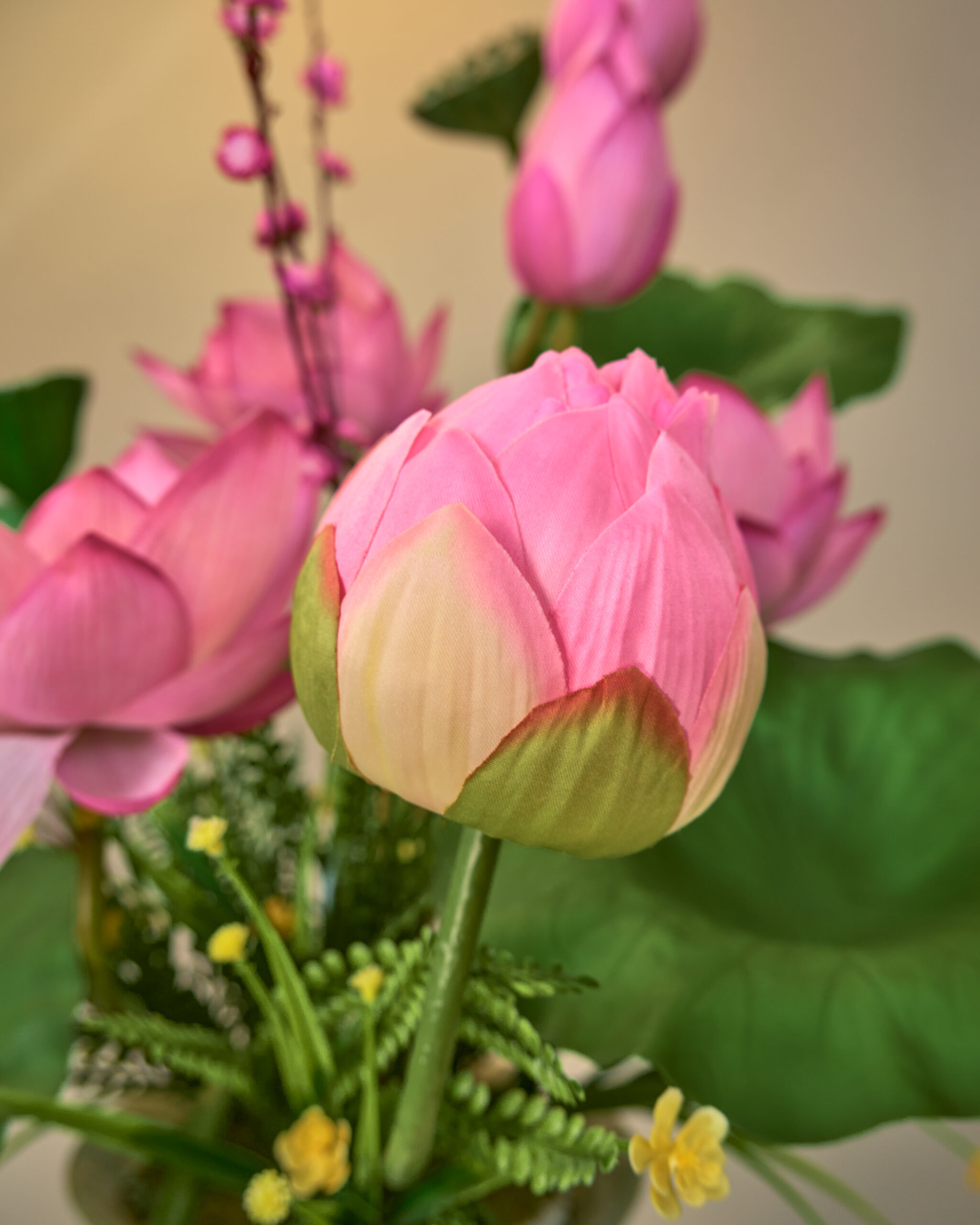Bình Hoa Sen Áp Tường - Ảnh 6