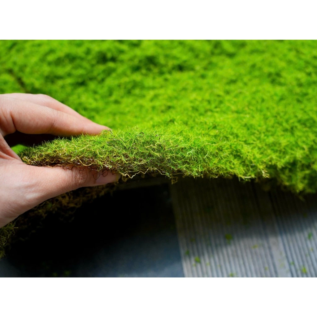Thảm cỏ nhân tạo 30x30cm - Ảnh 5