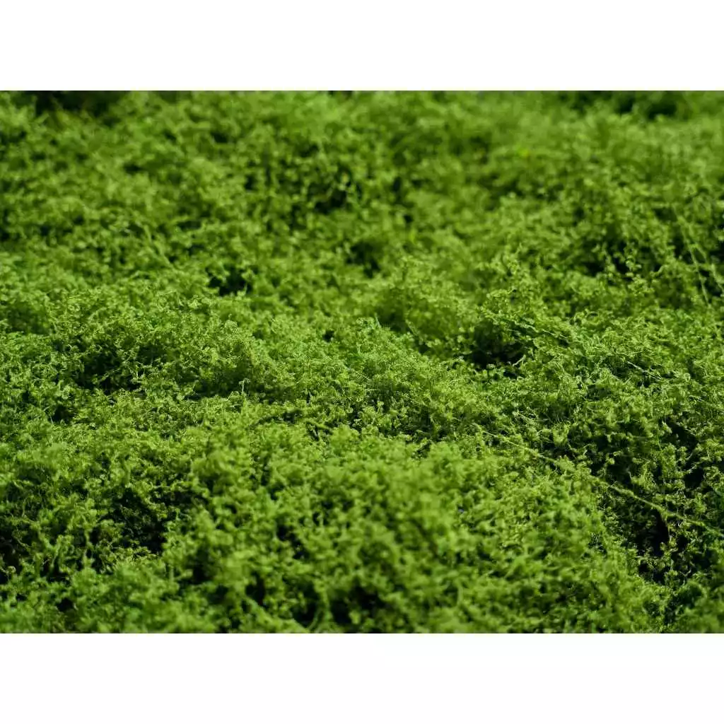 Thảm rêu sợi vải 100x100 - Ảnh 4