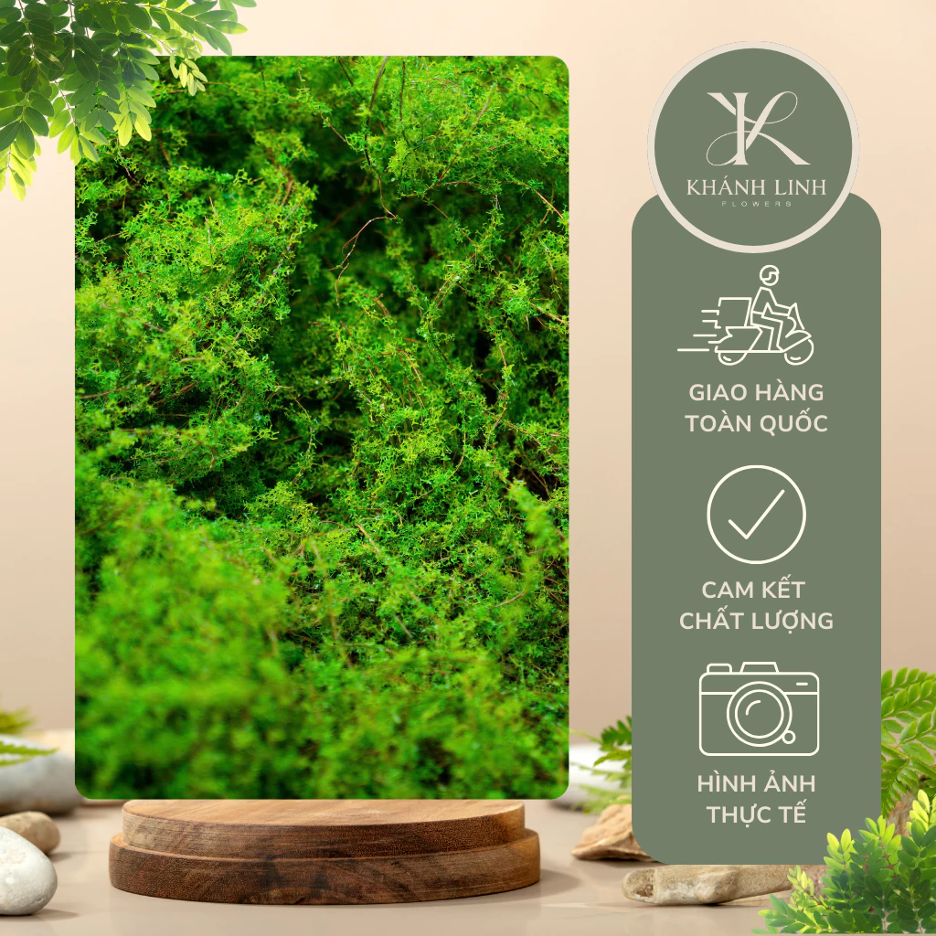 Thảm cỏ nhân tạo tiểu cảnh 2m vuông - Ảnh 2